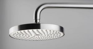 Ronde, RVS regendouche (20cm)