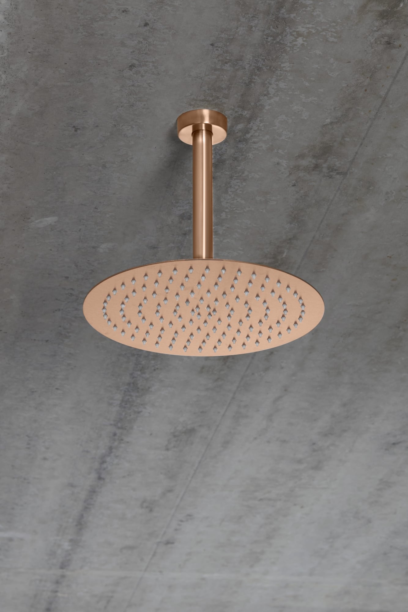 RVS Regendouche Hoofddouche